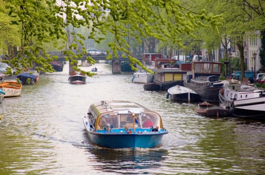  De leuke lente-uitstapjes in Nederland 